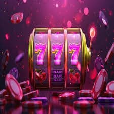 pusulabet Bingo Rooms